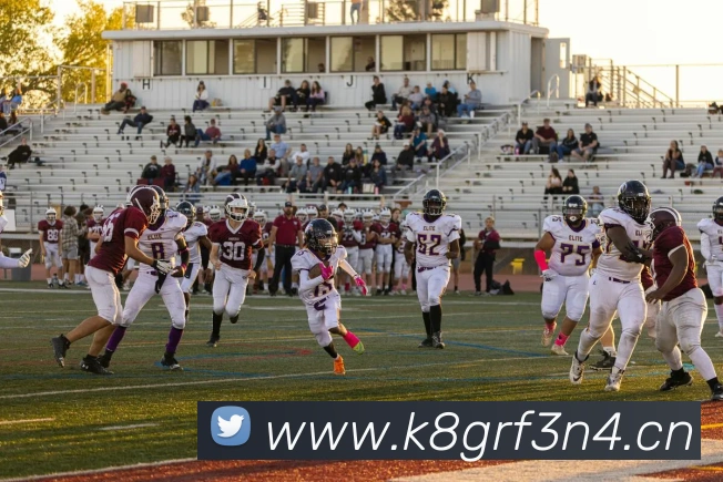 星空体育app官网登录平台生态图